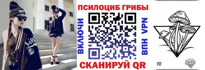 гидра зеркало купить цена Севск Галлюциногенные грибы Cubensis
