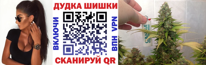Шишки марихуана планчик  Севск 